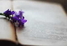 Czym wyczyścić pożółkłe białe meble forum?