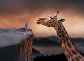 Ile mleka odciągnąć na jedno karmienie? Ile mleka odciągnąć na jedno karmienie?