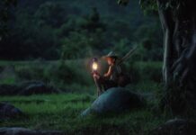 Czy lampa naftowa odstrasza komary?