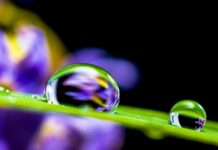 Jak usunąć wilgoć z posadzki?