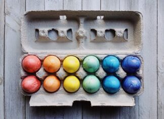 Ile za metr położenia karton gipsu?