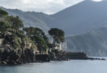 Ile kosztuje godzina pracy podnośnika koszowego?