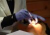 Endodoncja w gabinecie stomatologicznym – Gdynia Endodoncja w gabinecie stomatologicznym